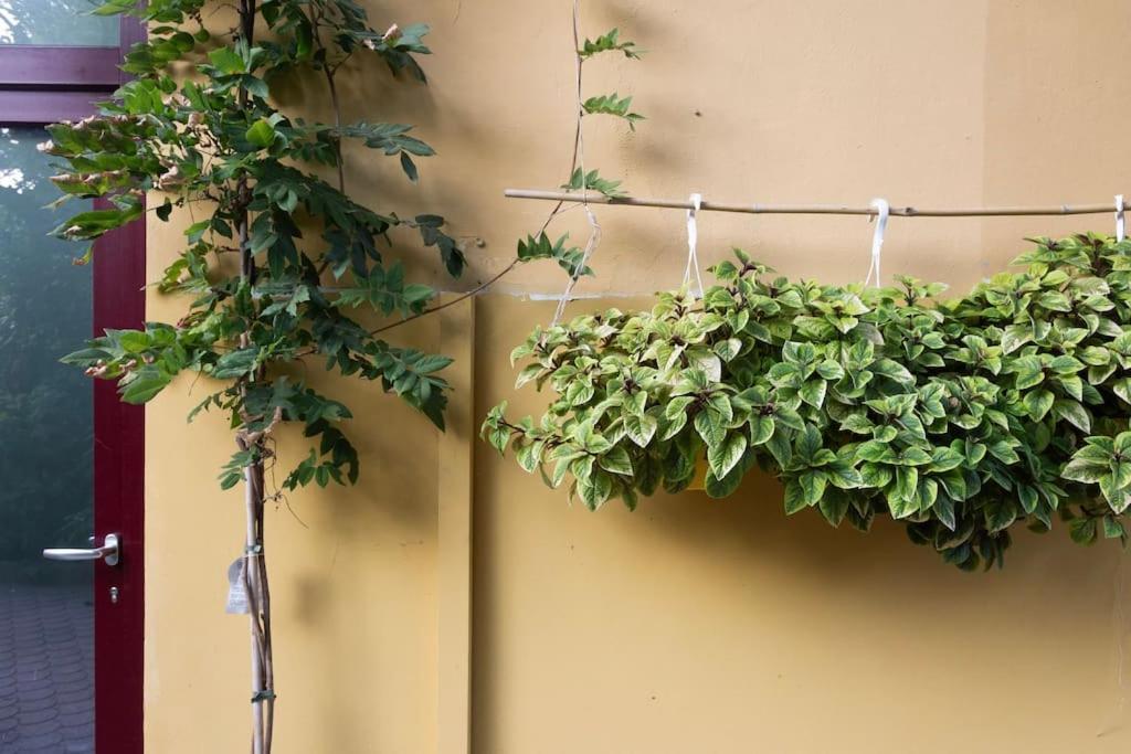 Casasassi, With Outdoor Living Space * Turin