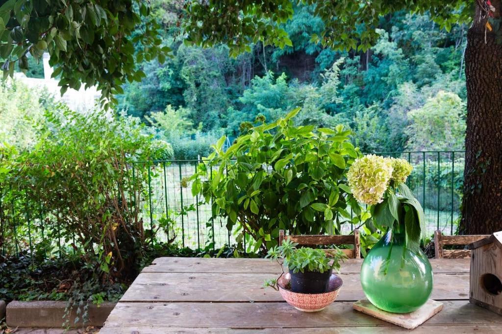 Casasassi, With Outdoor Living Space Appartement *